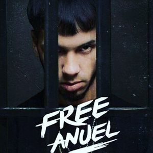 Meet your Posher, Pedro